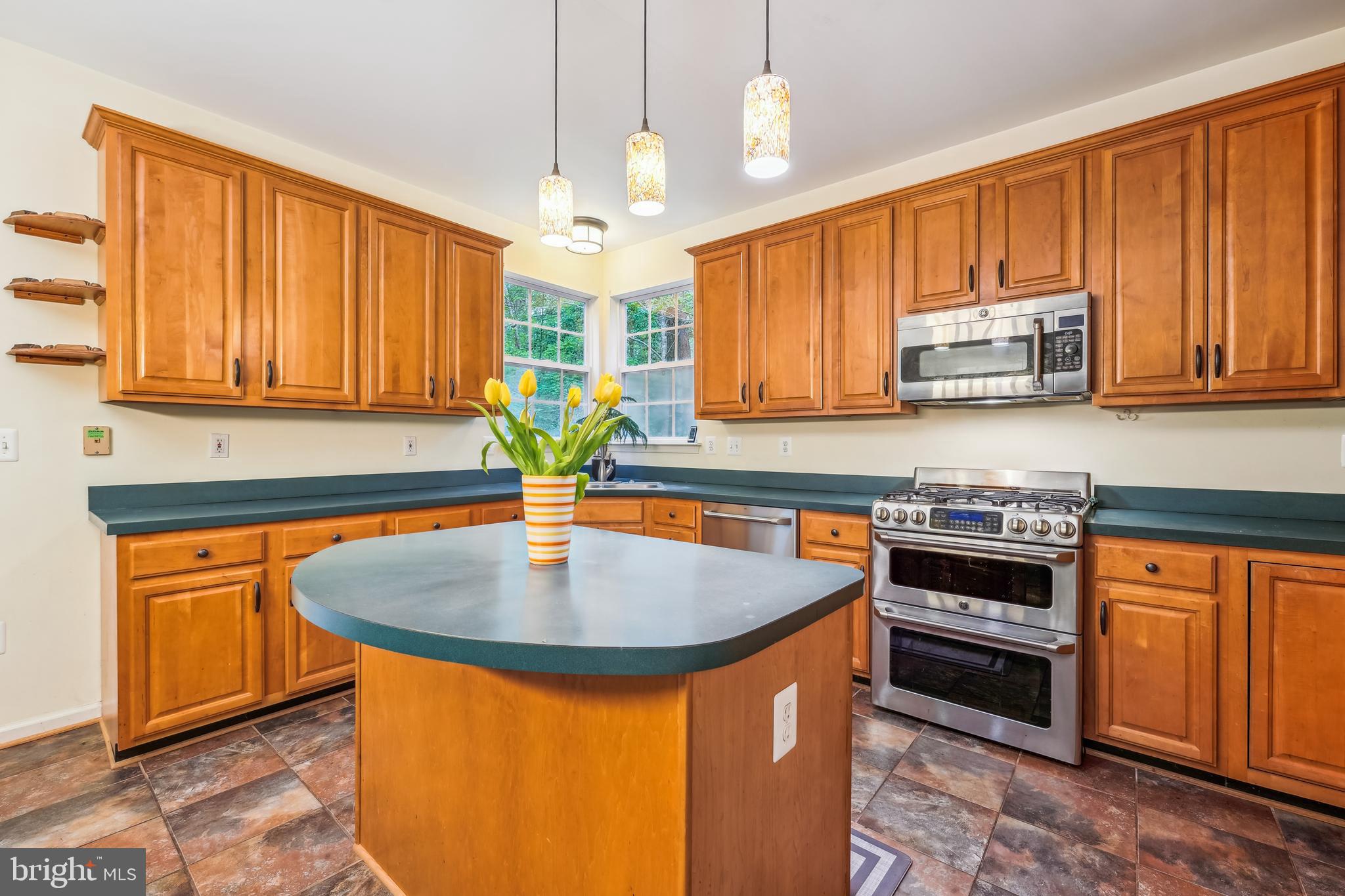 CHESTNUT HILLS - Residential