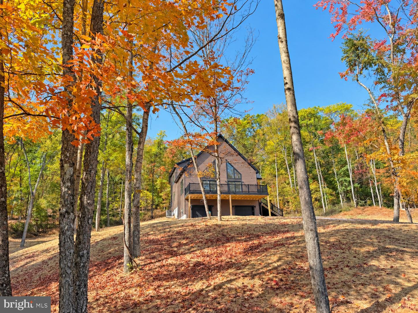 Lot 41 SPICEBUSH