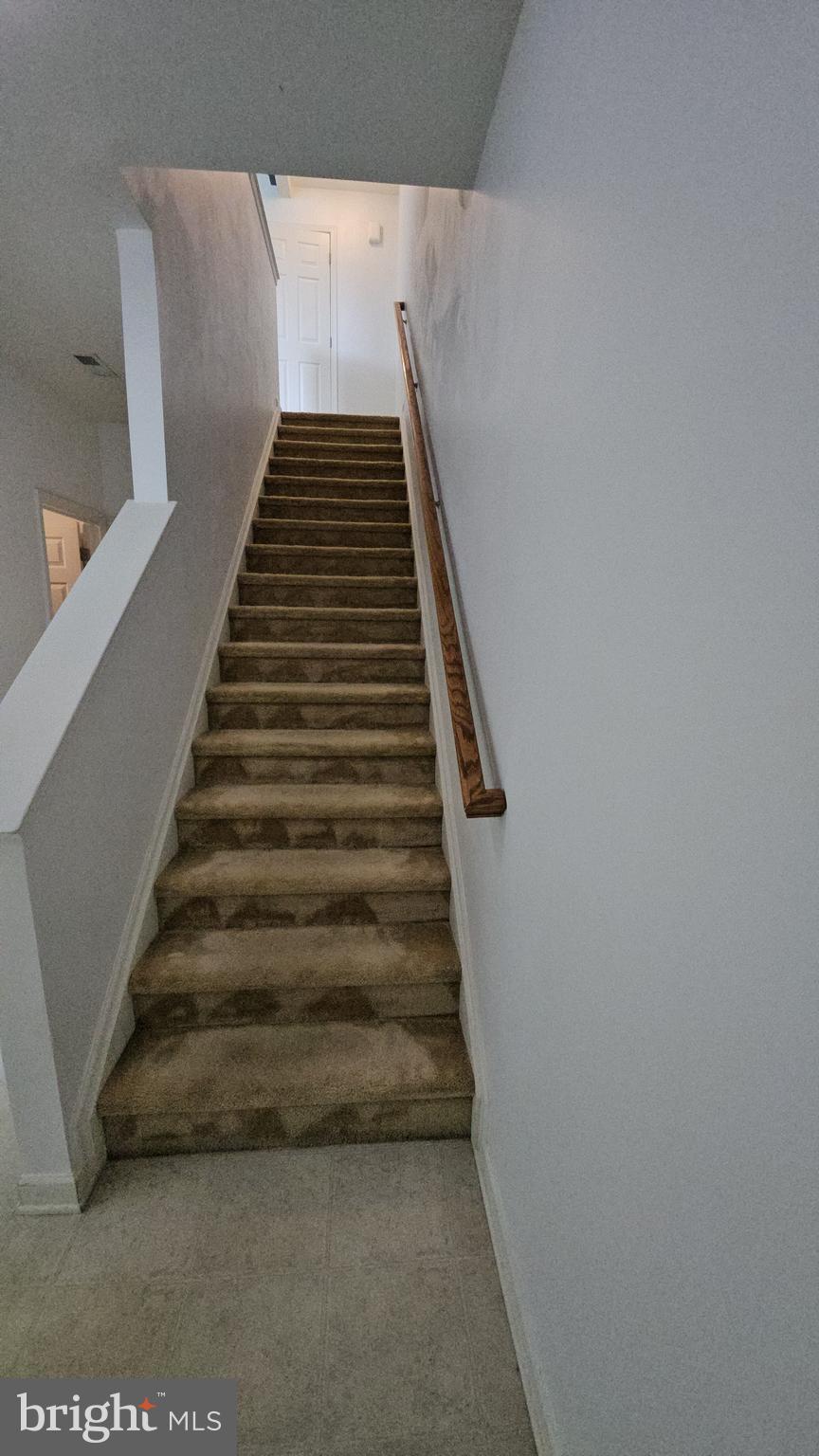79 TYNDALL TRAIL