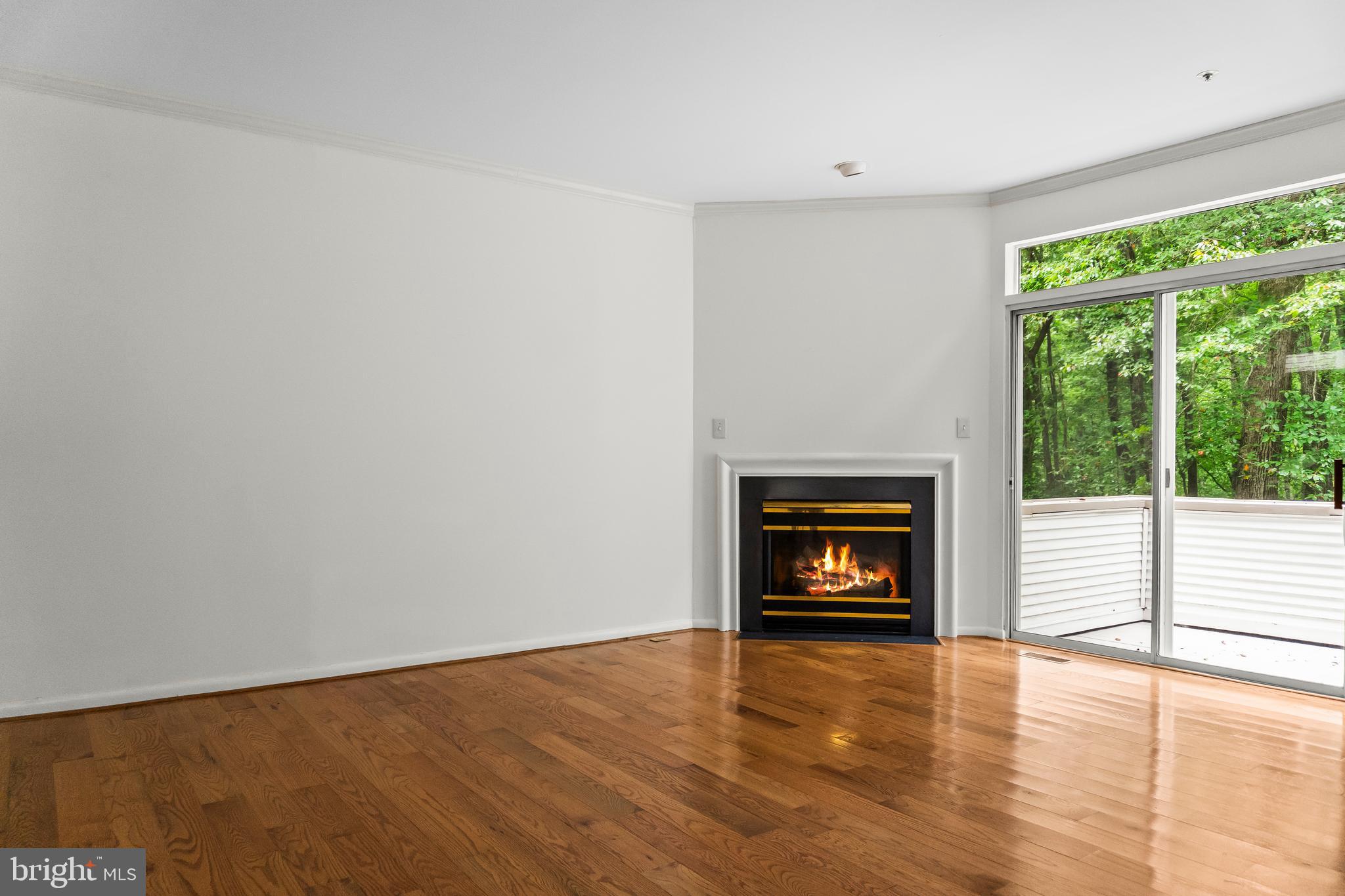 10356 ROYAL WOODS COURT