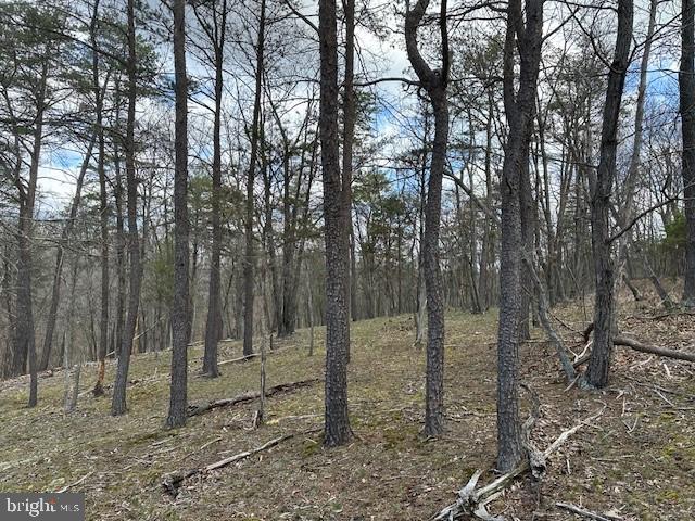 MIDDLE RIDGE ESTATES - Land