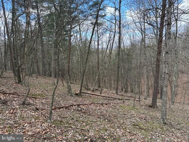 MIDDLE RIDGE ESTATES - Land