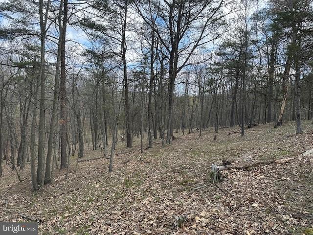 MIDDLE RIDGE ESTATES - Land