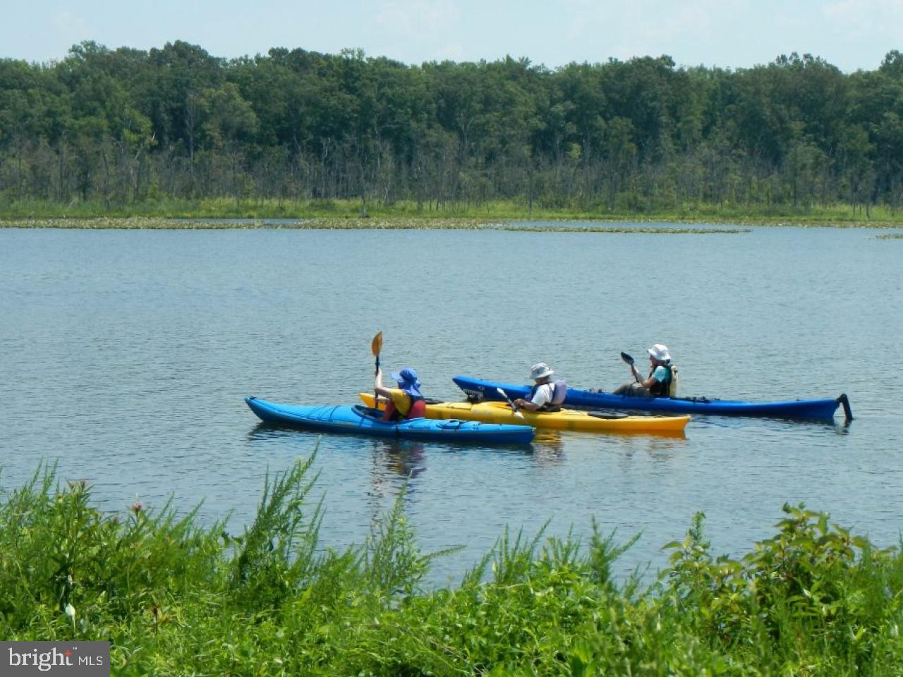 WARRINGTON HILLS IND HEA - Residential