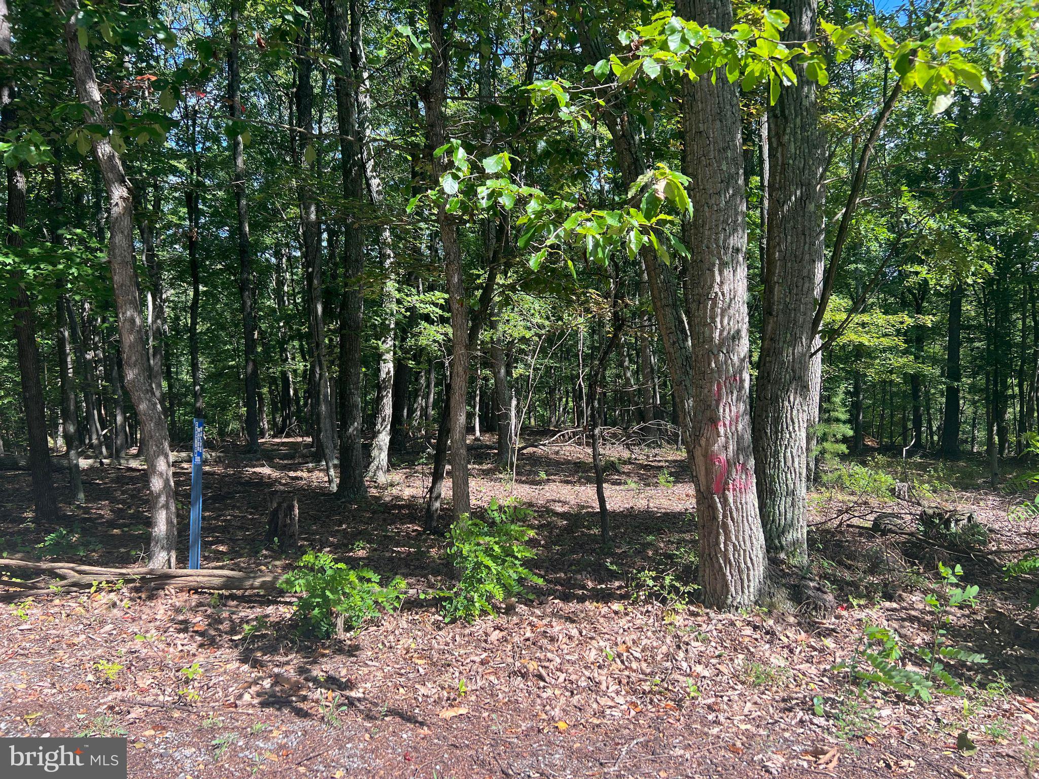 SLEEPY KNOLLS - Land