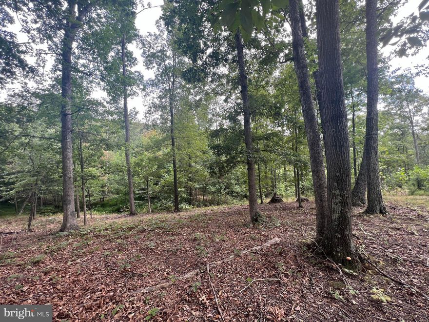 Great opportunity to own a lot w/ paved roads, underground electric  and community water at a fraction of the original developer's cost of $32,000! These are the very last release of lots by the developer and 100% owner-financing may be available to qualified buyers so grab your piece of " Almost Heaven " before it's gone !