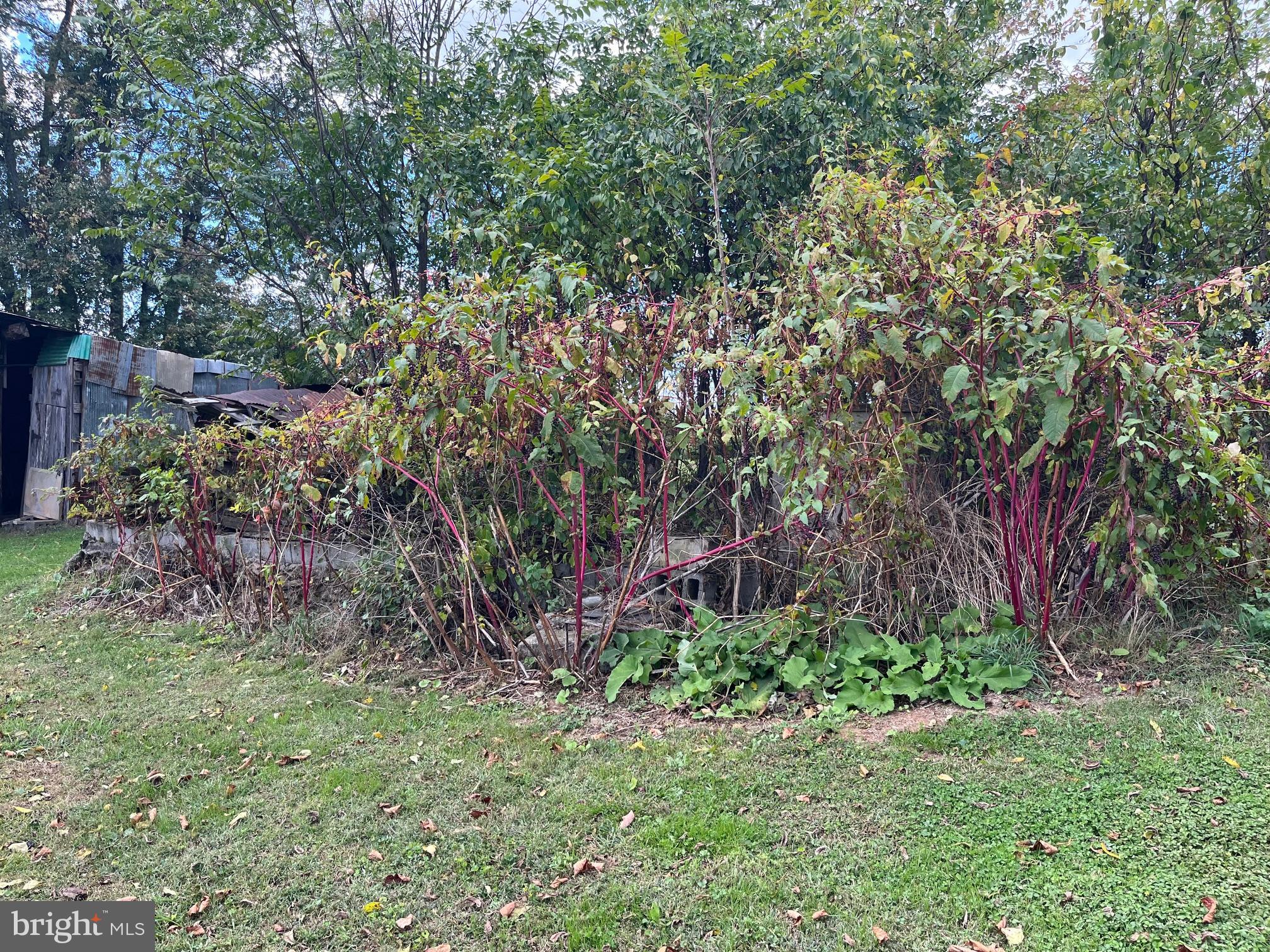 GLEN ROCK - Residential