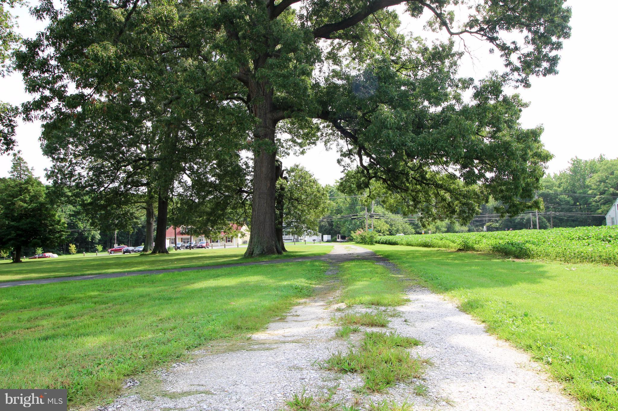 ESSEX - Commercial Sale