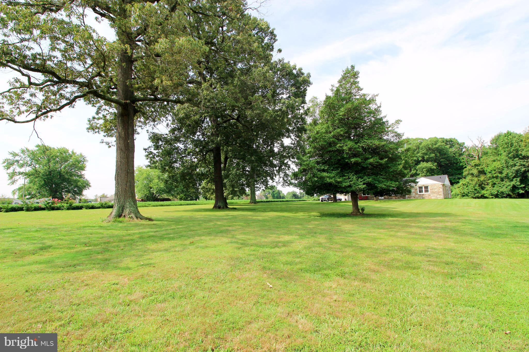 ESSEX - Commercial Sale