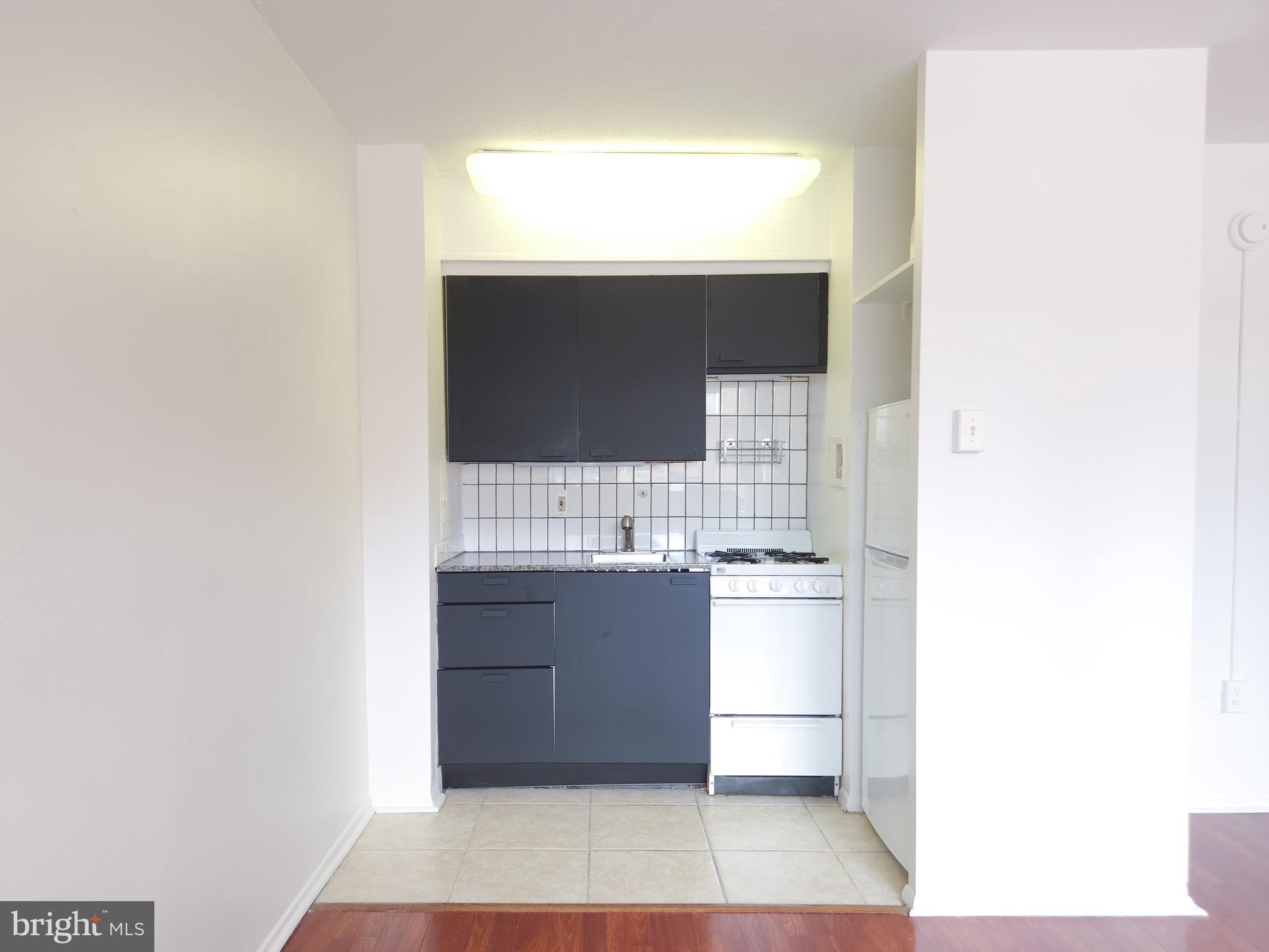 2101 CHESTNUT STREET 17 423