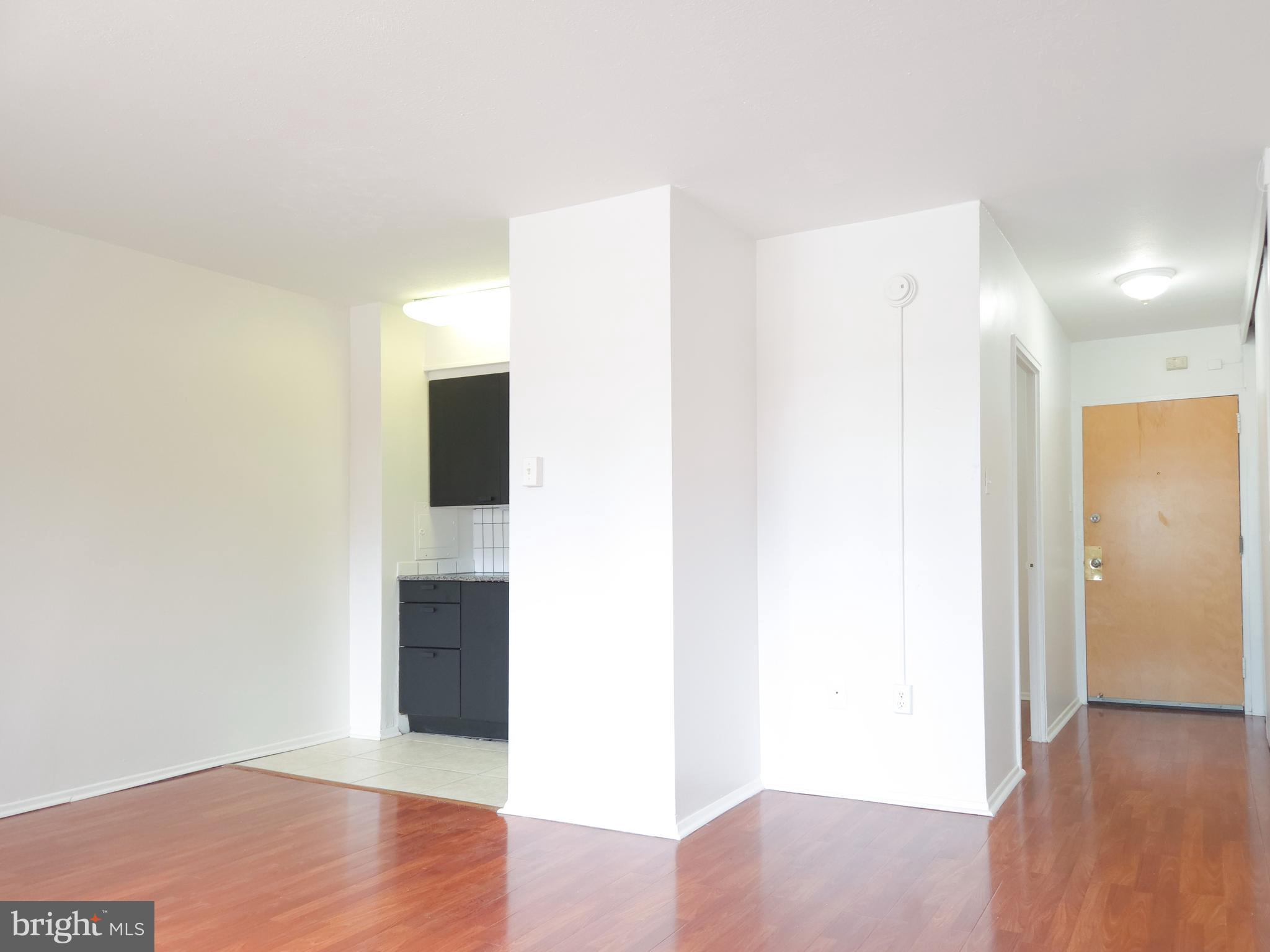 2101 CHESTNUT STREET 17 423