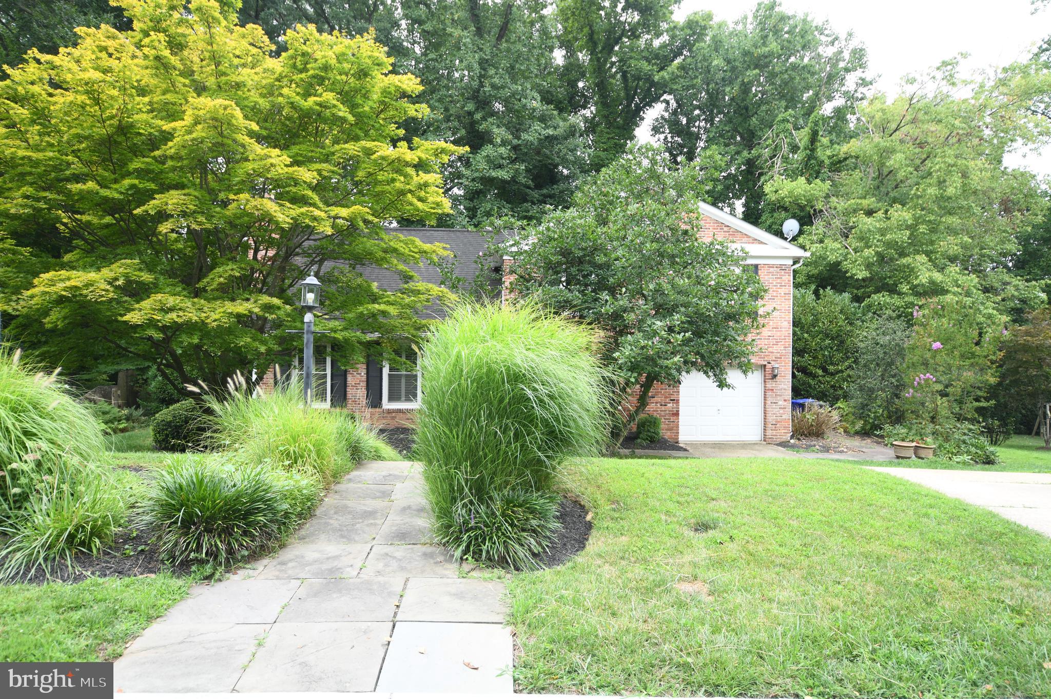 COHASSET - Residential Lease