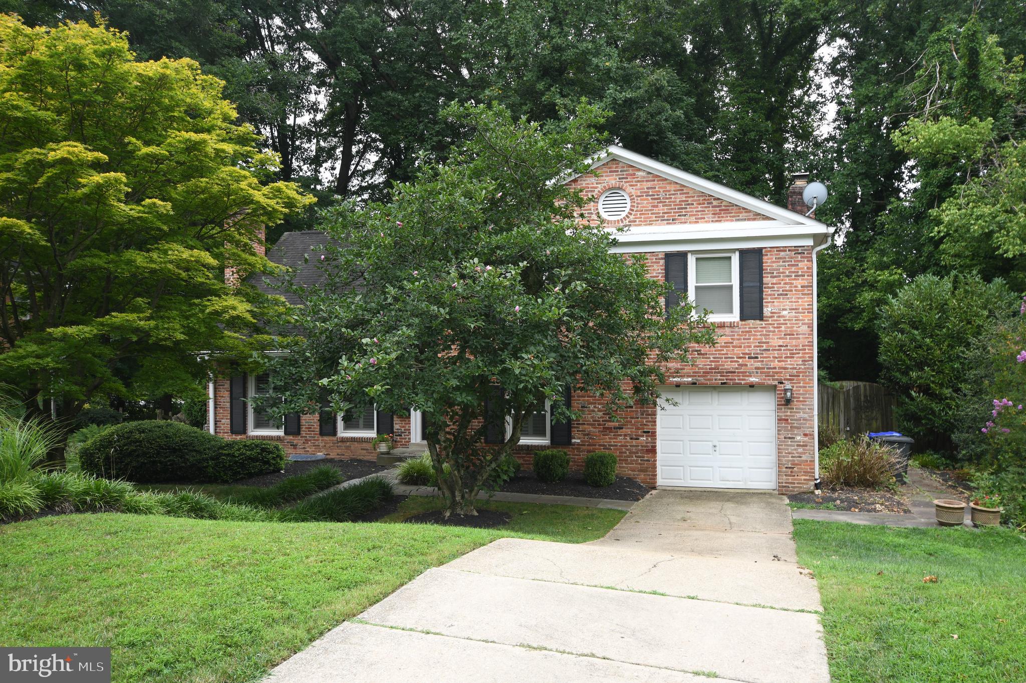 COHASSET - Residential Lease