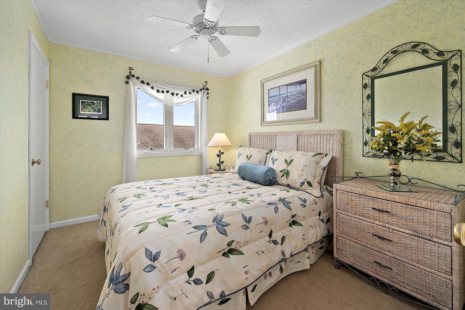 CAINE WOODS - Residential