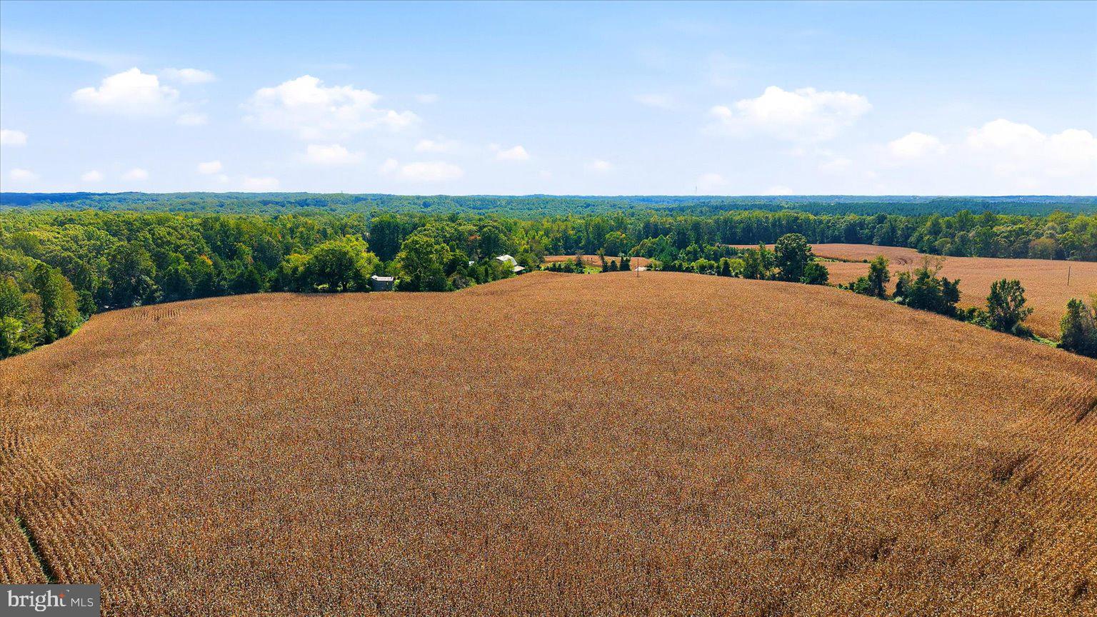 13112 SPOTSWOOD FURNACE ROAD