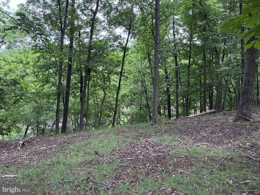 Build your next home in one of Romney’s most convenient residential settings. Lot 24 in South Hills Subdivision offers 1.17 wooded acres on the outskirts of Romney, West Virginia, in an area with attractive, well-kept homes and a peaceful setting. This heavily wooded lot provides the privacy and natural feel buyers enjoy, while still being close to schools, shopping, restaurants, and commuter routes. A major benefit is the availability of public water and public sewer, giving this property added convenience compared to many rural building lots. If you are looking for a reasonably priced lot with privacy, convenience, and strong potential, this South Hills property is a great opportunity.