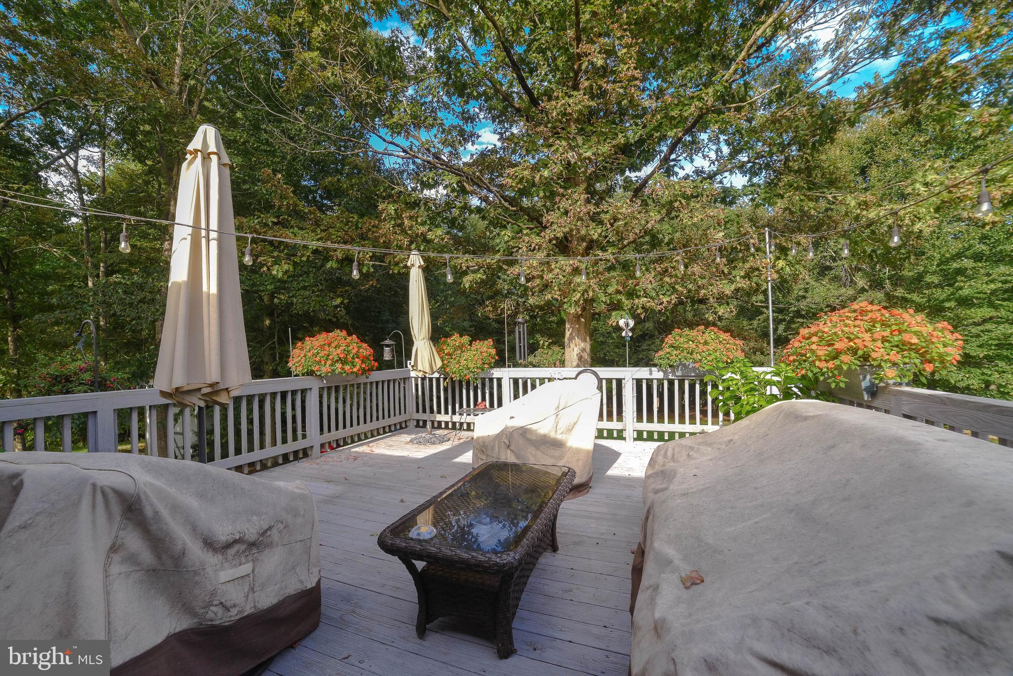 ELLENWOOD - Residential