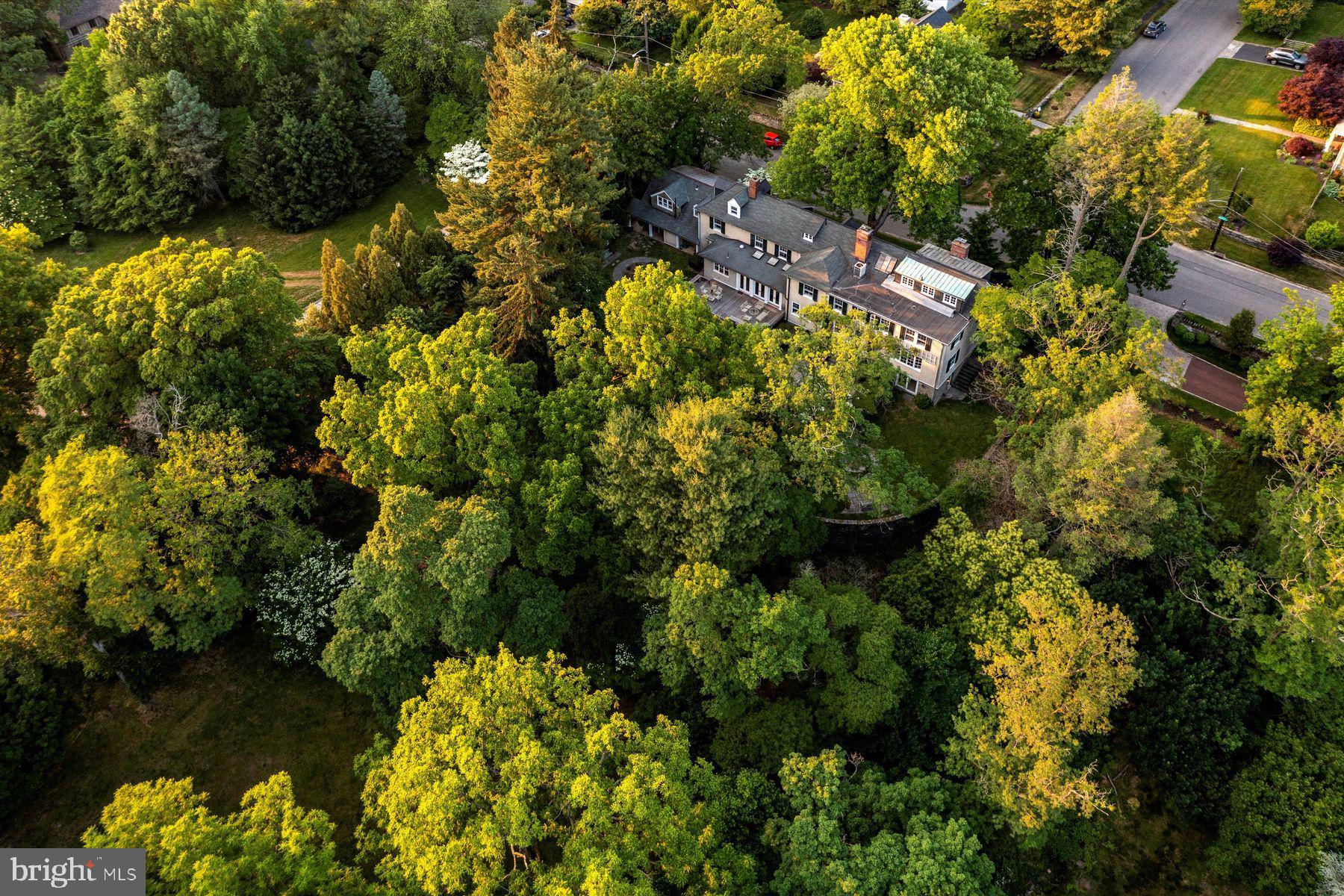 CHESTNUT HILL - Residential