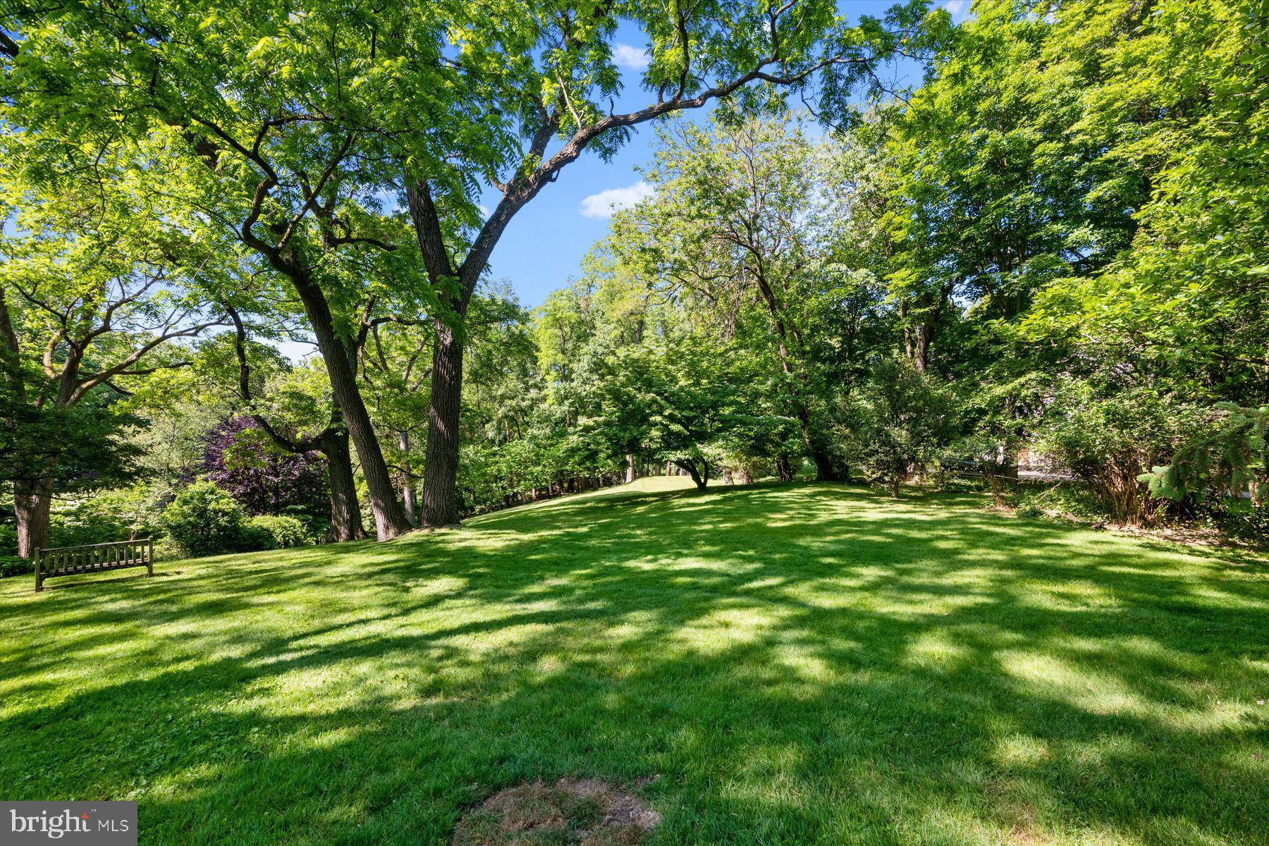 CHESTNUT HILL - Residential