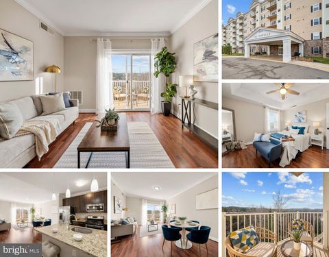 6301 EDSALL ROAD 323 ALEXANDRIA VA 22312