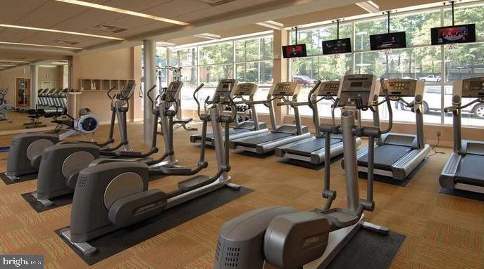 MONTROSE - Residential Lease