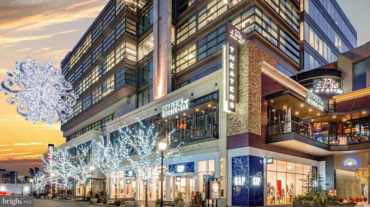 MONTROSE - Residential Lease