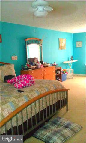 WALNUT POINT - Residential