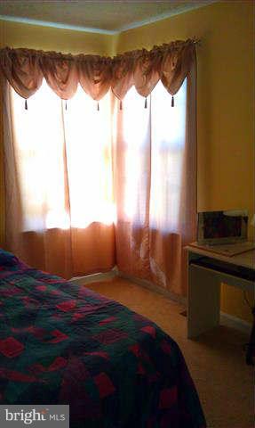 WALNUT POINT - Residential