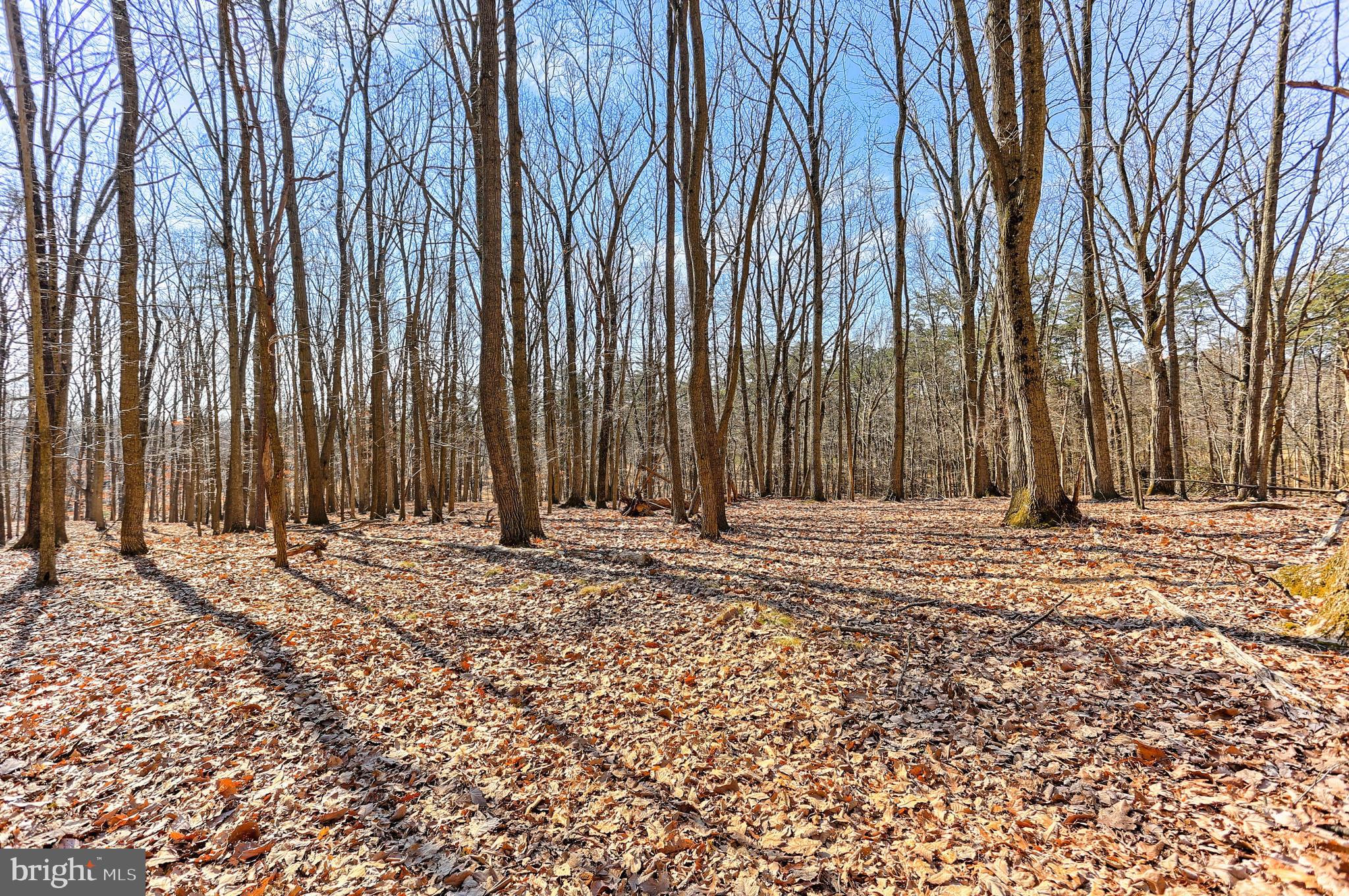 SUNNYBROOK FARMS - Residential