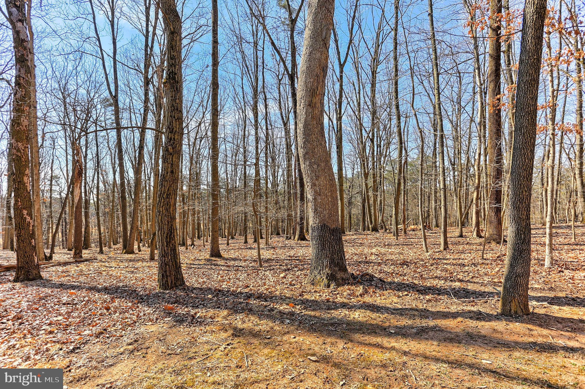 SUNNYBROOK FARMS - Residential
