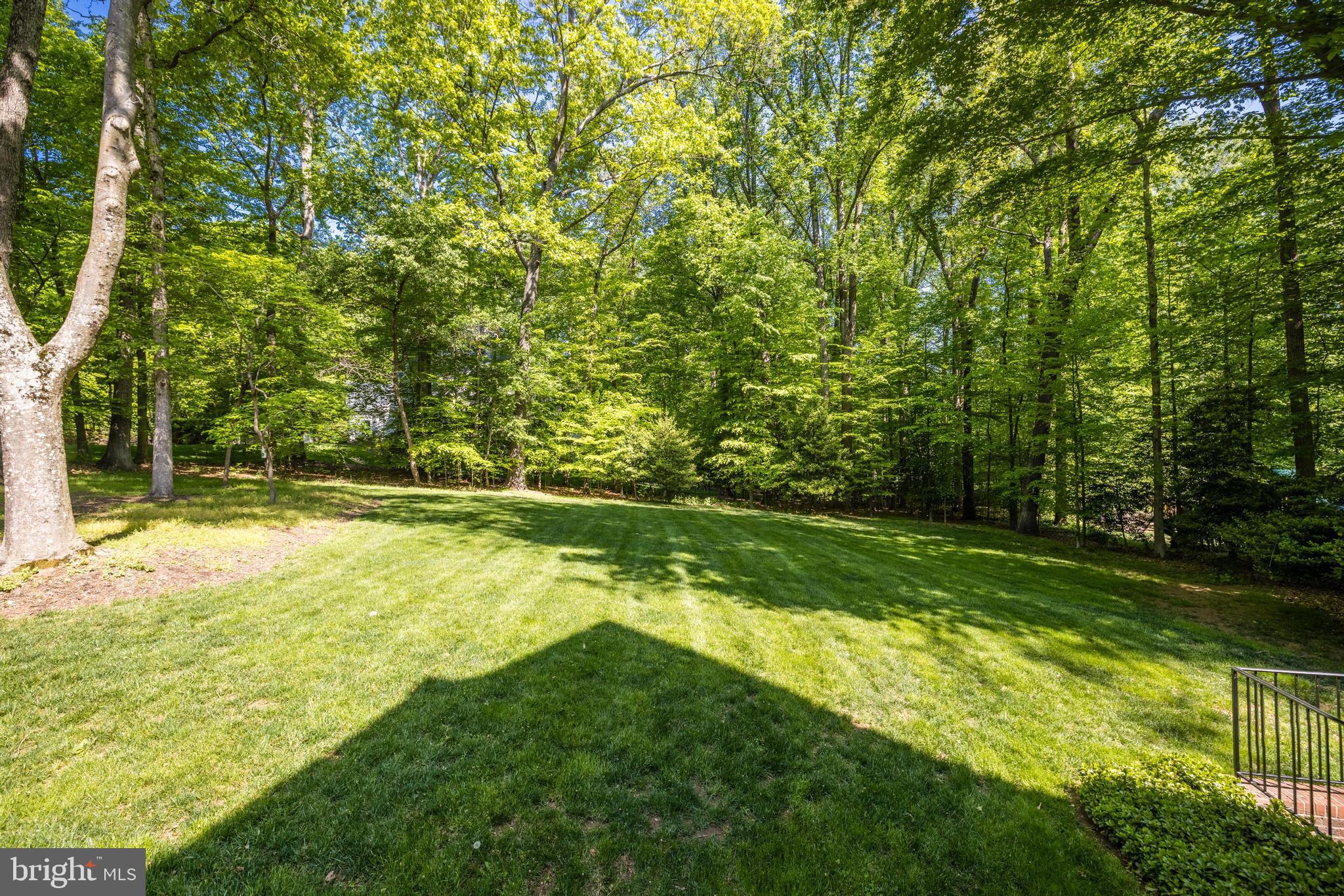 FALCON RIDGE - Residential