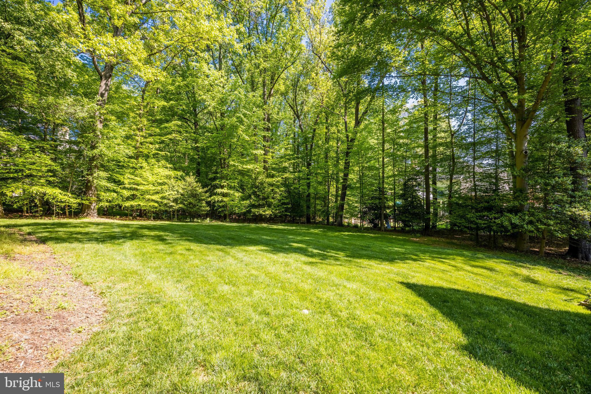 FALCON RIDGE - Residential