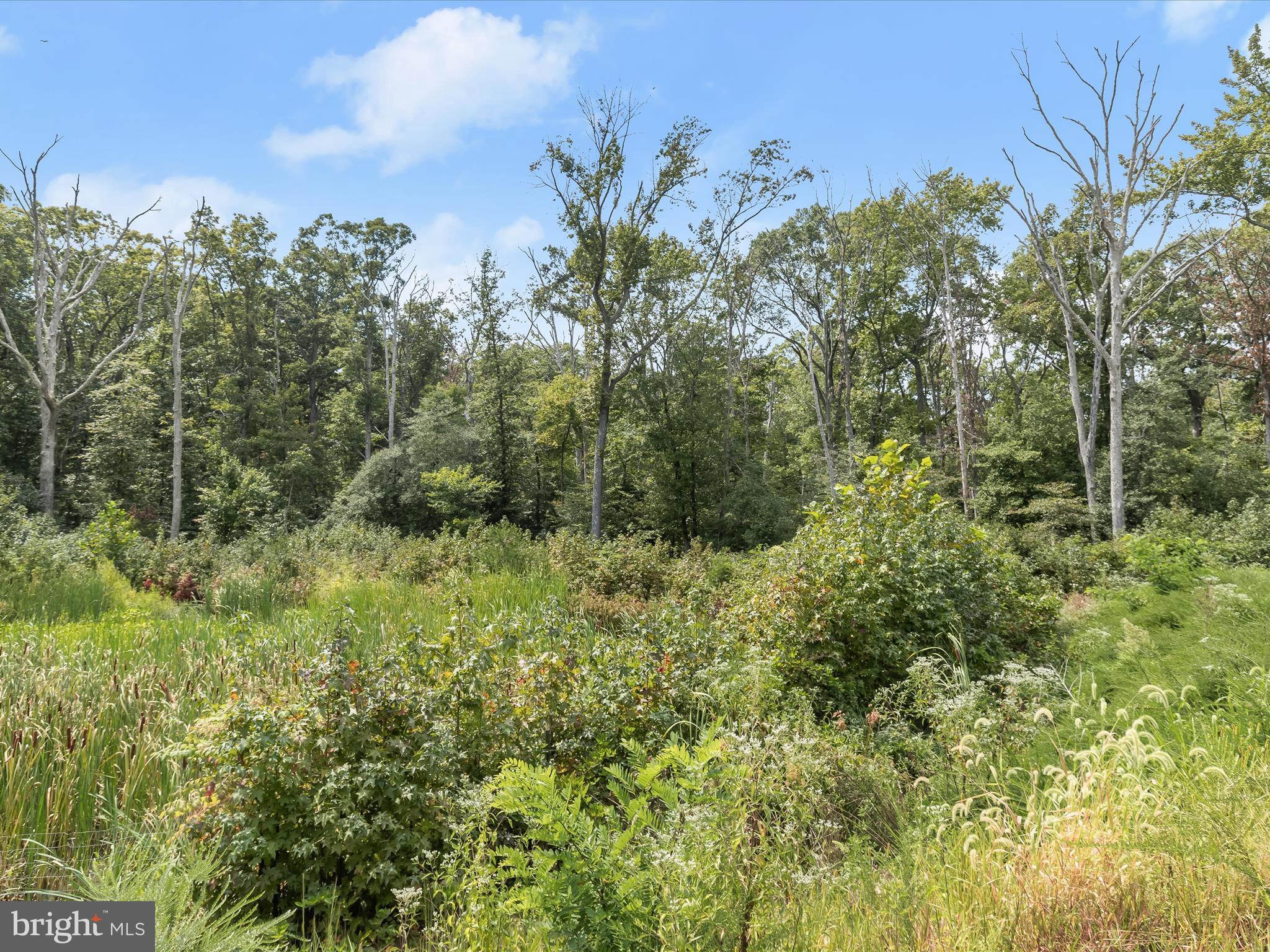 PARKSIDE PRESERVE - Land