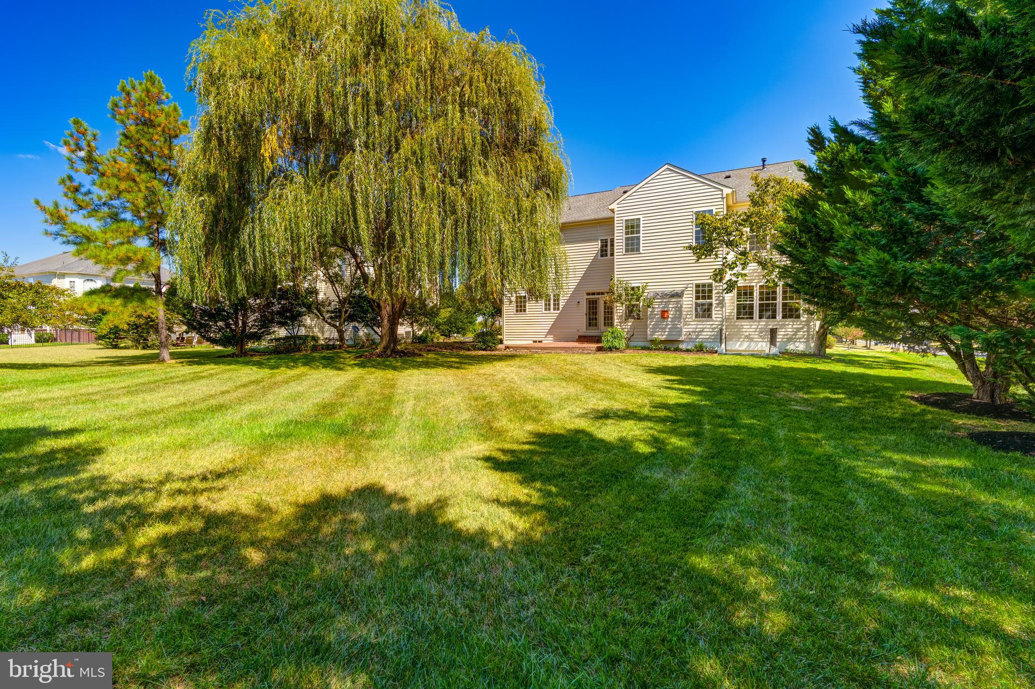 BELLE TERRA - Residential