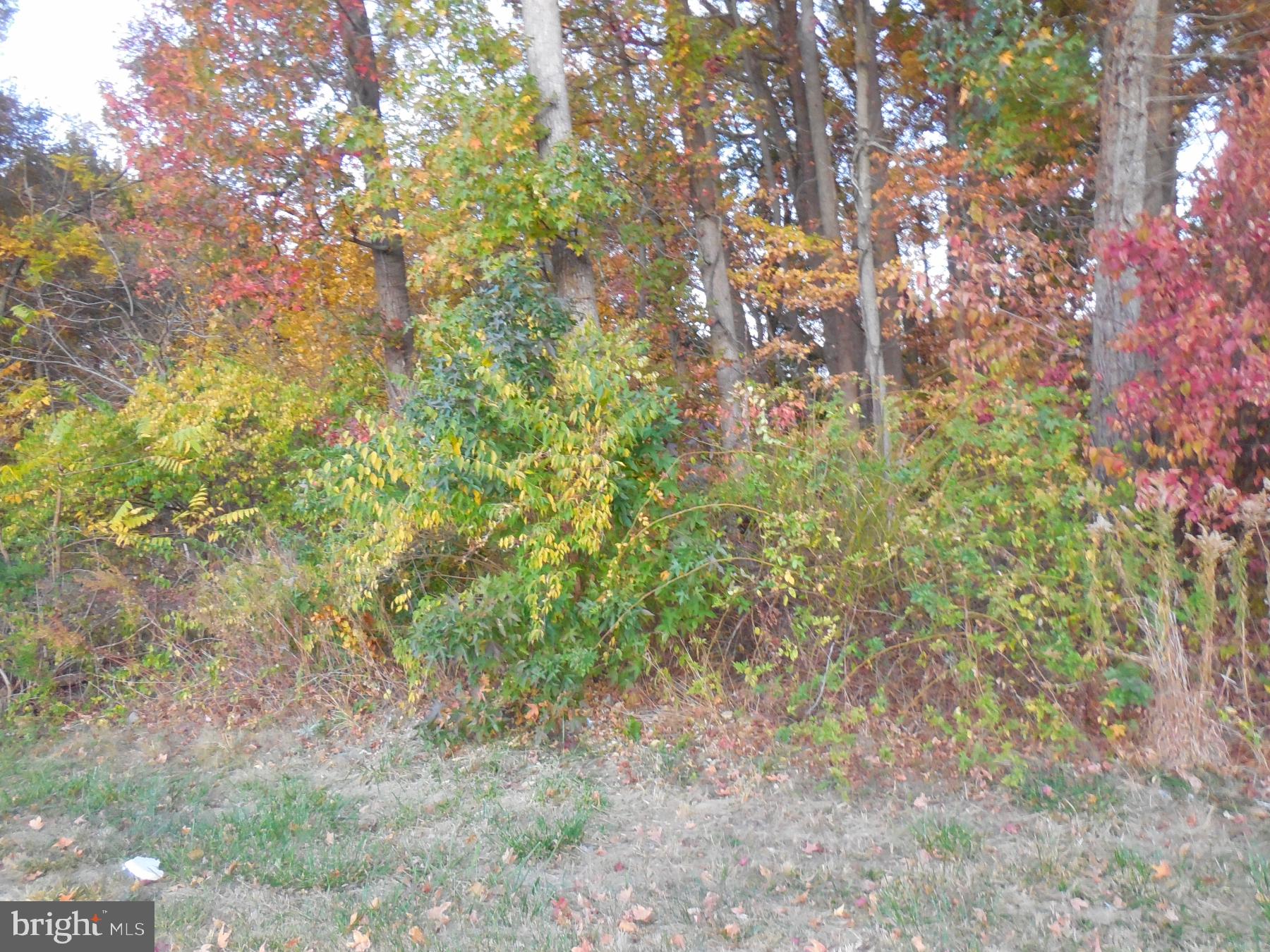 1321 DELSEA DRIVE