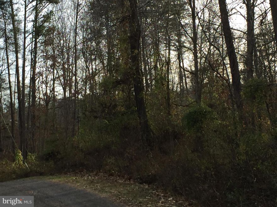 Build a TINY HOUSE! Rivers and Lakes! Enjoy! Fish! Relax!  Build a dream house in the country or keep the property and use the amenities on the lakes and rivers. Lots of HARDWOODS and a few nice pine trees on a CORNER LOT.  There is a real estate sign on one side.  The lot has a large flat area and a sloped area with no marshy spots found on a recent walk through the land.