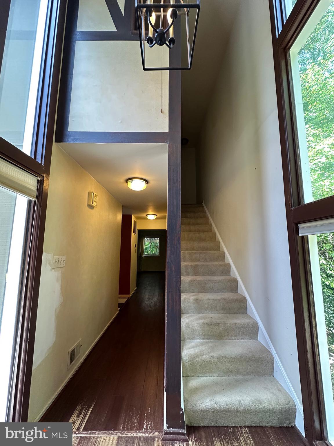 11152 FOREST EDGE DRIVE