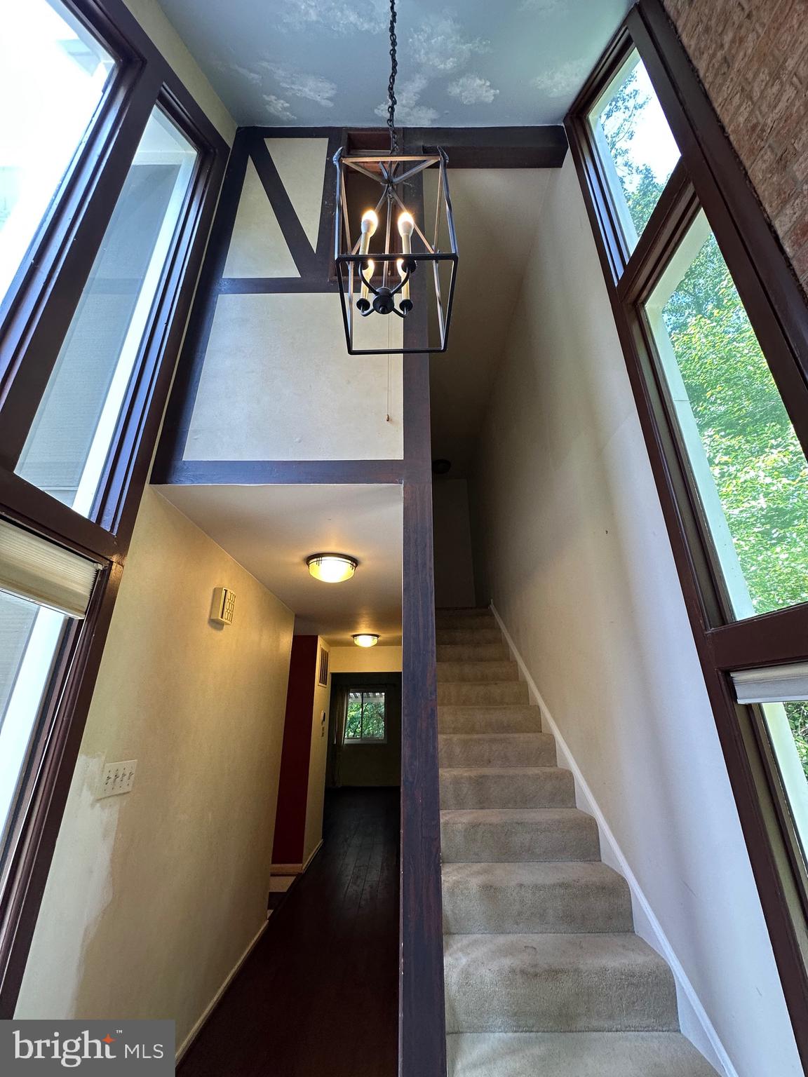 11152 FOREST EDGE DRIVE