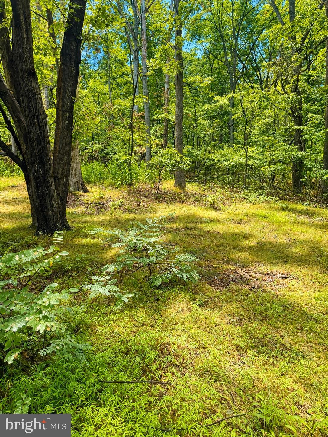 903 PIN OAK ROAD
