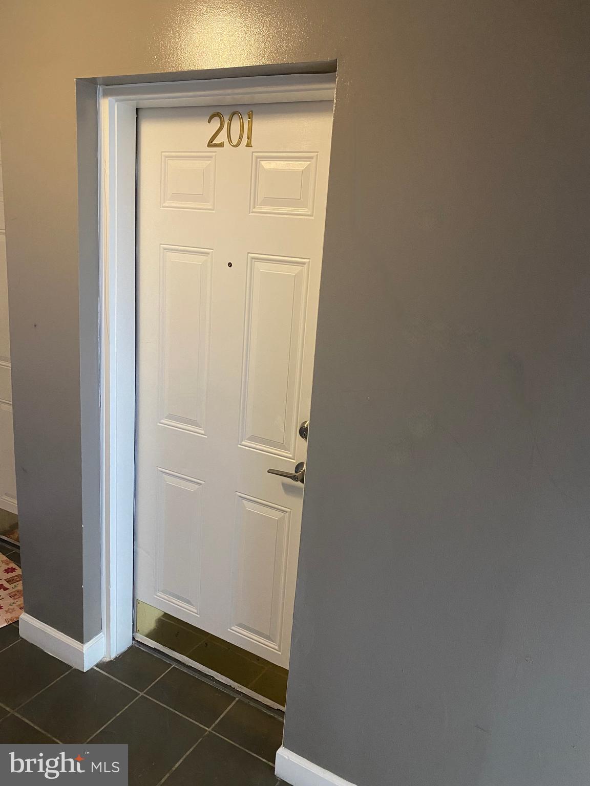 701 BRANDYWINE STREET SE 201