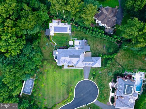 1039 AZIZA COURT GREAT FALLS VA 22066