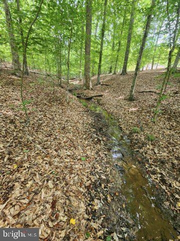 DOGWOOD LAKE ESTATES - Residential