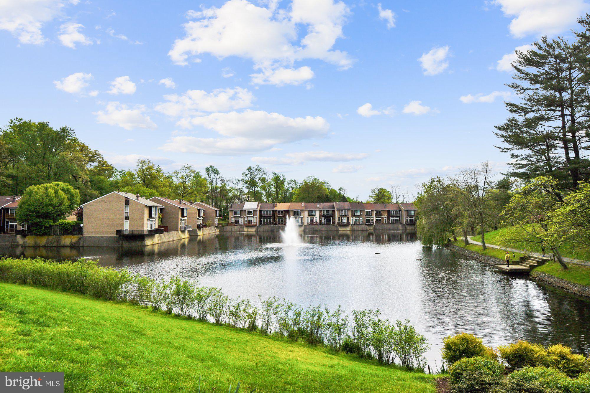 NEW MARK COMMONS - Residential