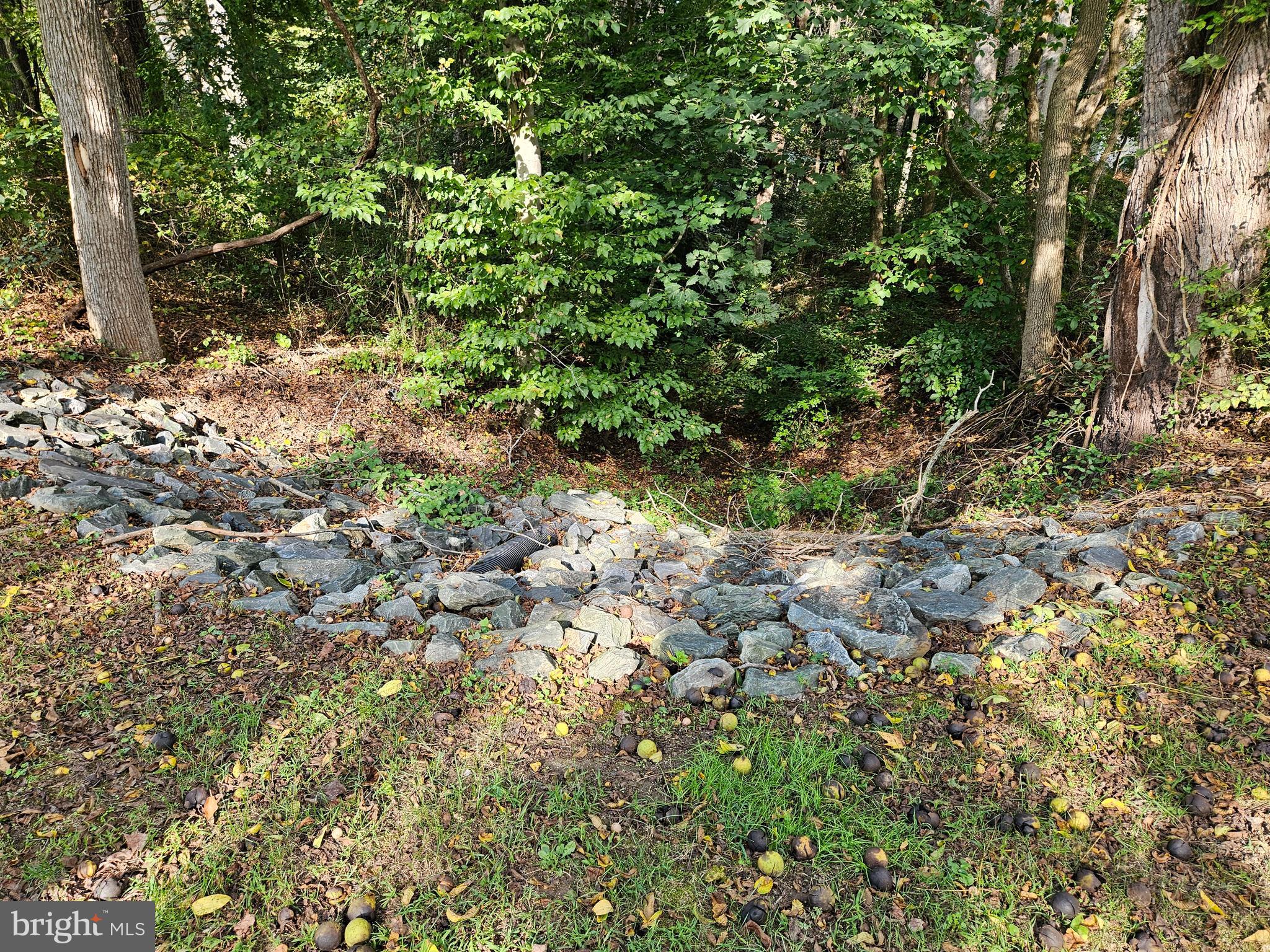 ASBURY - Residential