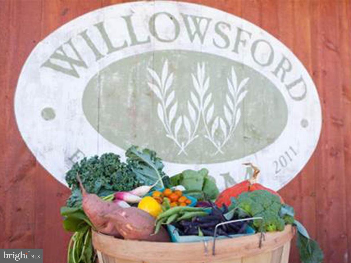 WILLOWSFORD AT THE GRANGE - Residential