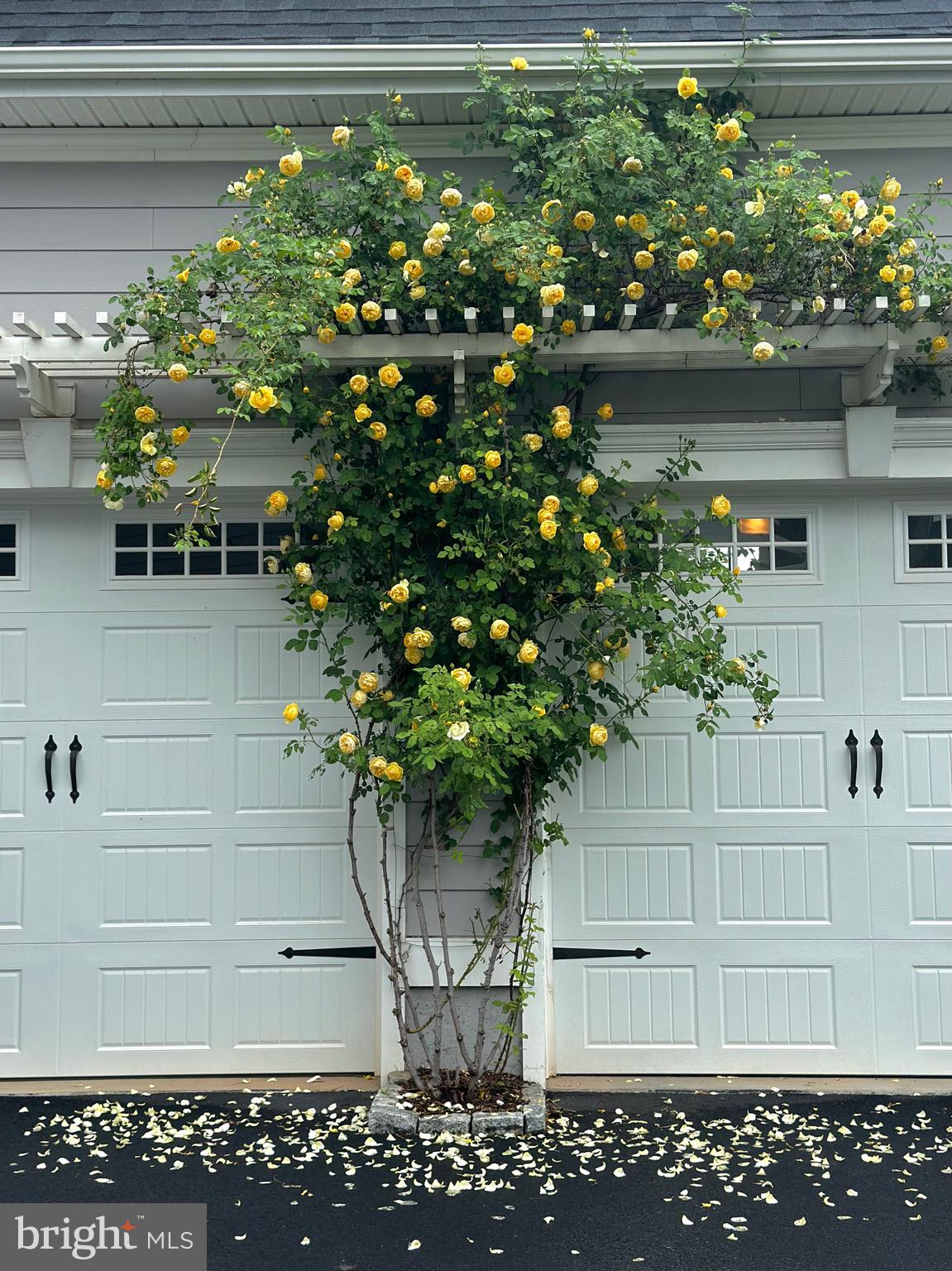 WILLOWSFORD AT THE GRANGE - Residential