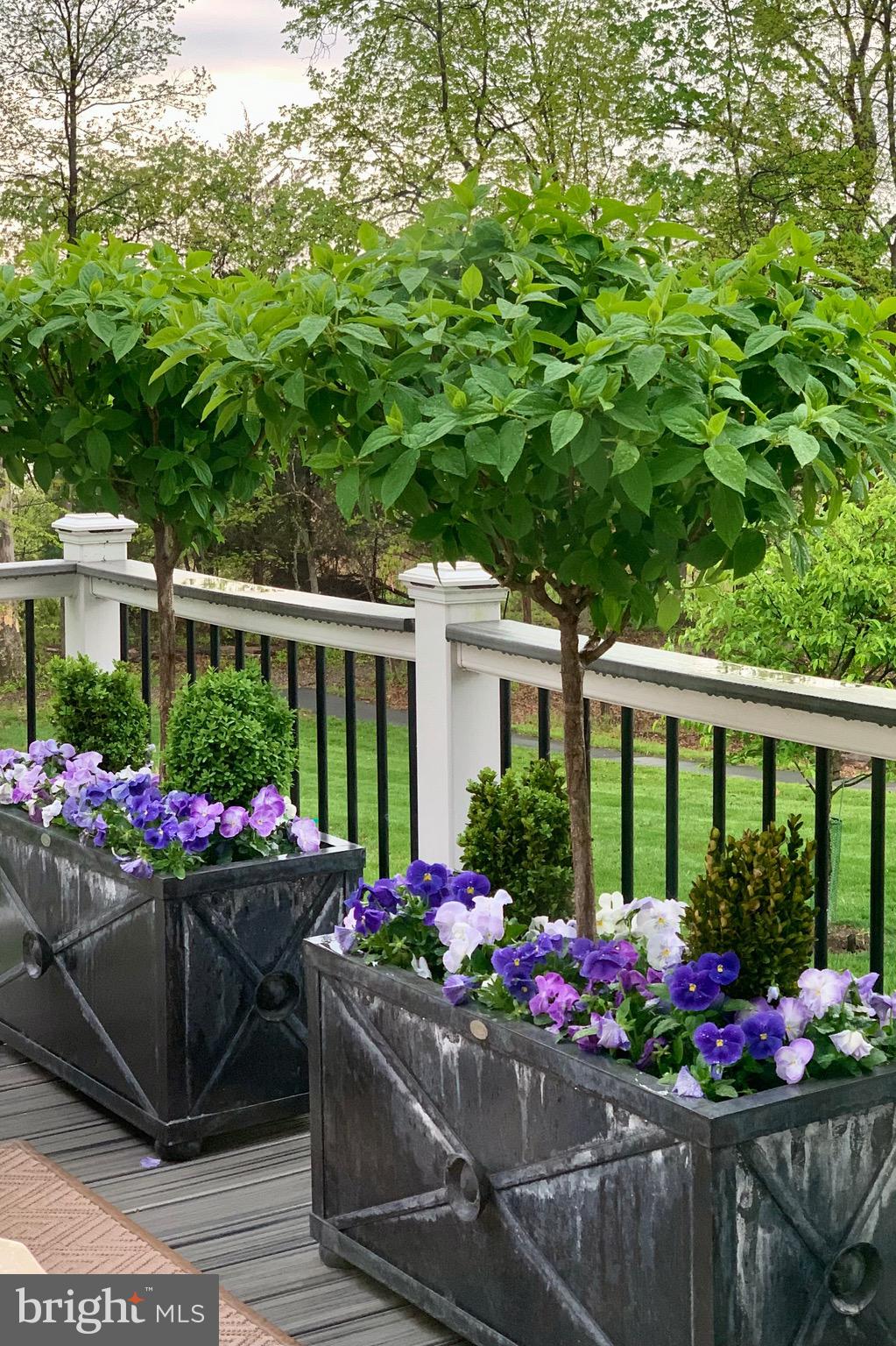 WILLOWSFORD AT THE GRANGE - Residential