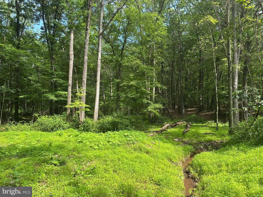 If you’ve been hunting for a piece of land that actually delivers—real privacy, solid ground, and direct access from a state-maintained road—this one checks the boxes. Lot 10 in the Spring Gap Mountain Subdivision offers 5.73 wooded acres with usable terrain from corner to corner. This isn’t steep, unworkable hillside—it’s land you can actually build on without breaking the bank on dirt work. Tucked back in the hills of West Virginia, it’s quiet, private, and feels exactly like it should. Electric runs along the boundary, and with frontage on a state-maintained road, you’ve got reliable year-round access—no seasonal roads, no sketchy trails. Whether you’re thinking full-time home, weekend cabin, or just a solid spot to camp and reset, this lot works. The location hits the sweet spot—remote enough to feel like a retreat, but only 40 minutes to Winchester, VA and the I-81 corridor. Close enough to get there fast. Far enough to hear yourself think. Hunt, hike, unplug, or just spread out. No drama. Just a solid piece of Appalachian ground waiting for someone who knows what they’re looking at.