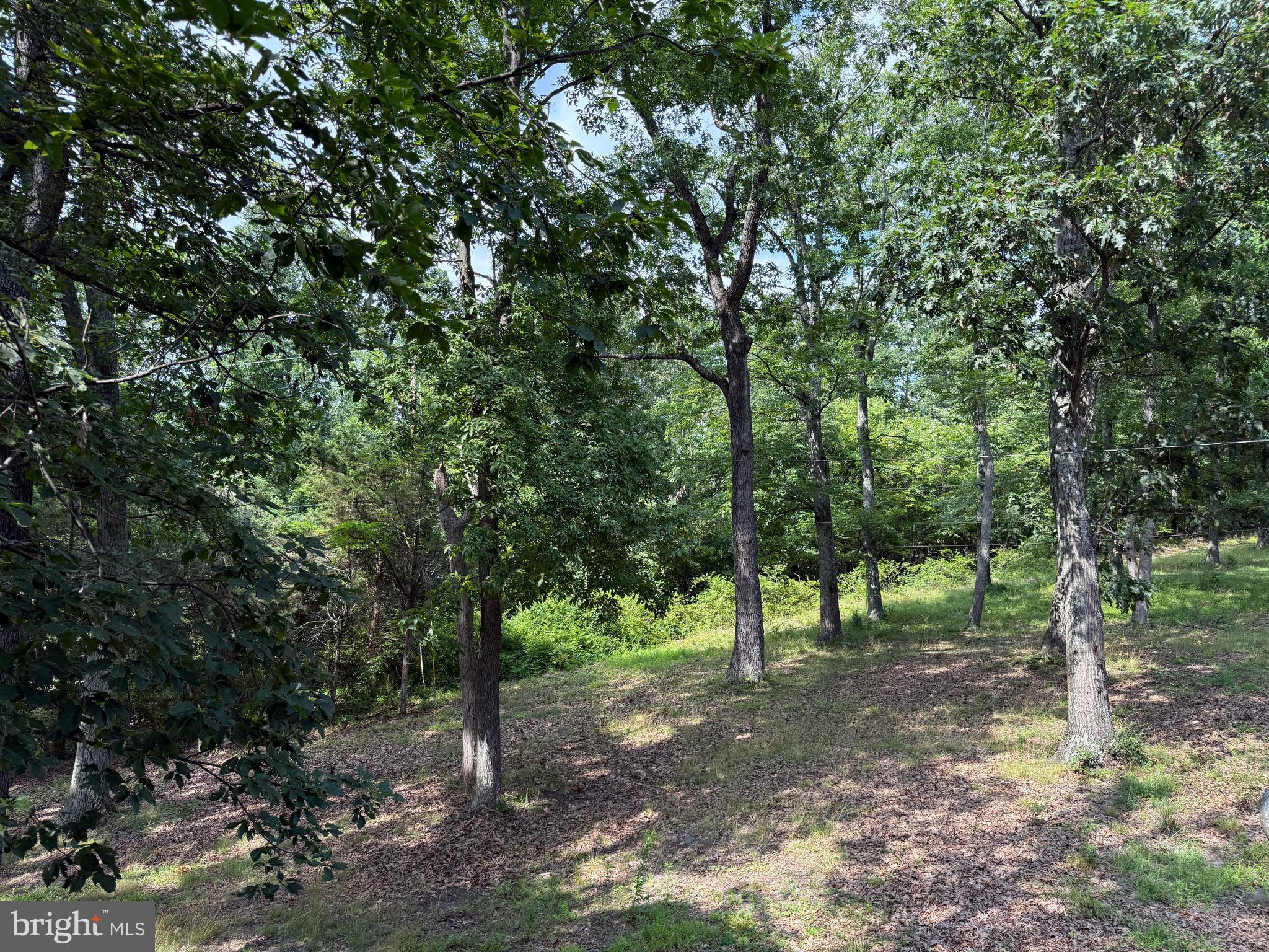 LEVELS VIEW - Residential