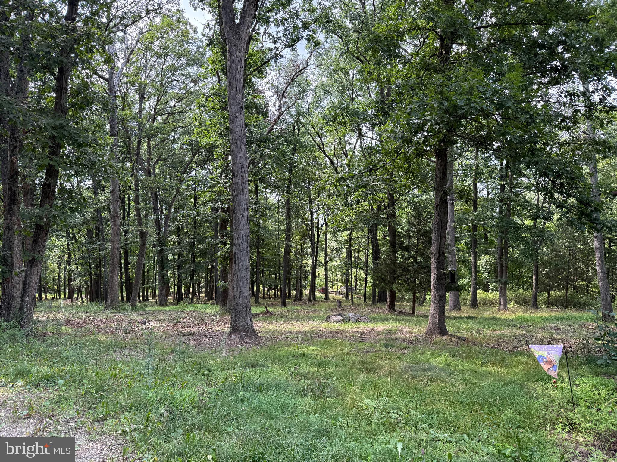 LEVELS VIEW - Residential